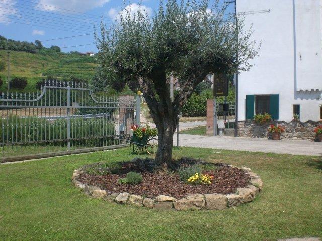 Il Feudo Villa Vo Euganeo Buitenkant foto
