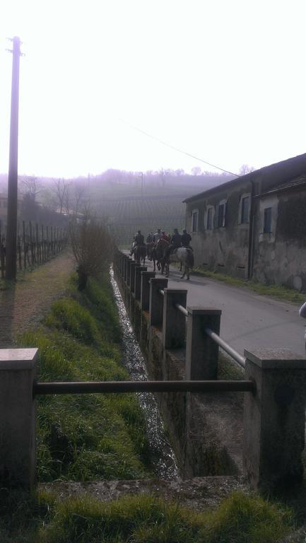 Il Feudo Villa Vo Euganeo Buitenkant foto